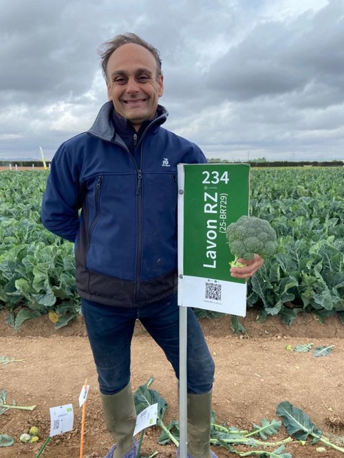 José Hernández presentó Lavon RZ, un brócoli de gran postcosecha