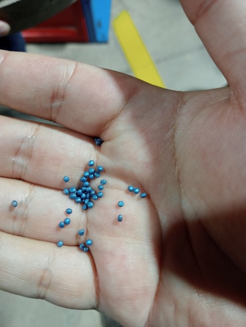 La característica semilla de Bimi®, de color azul