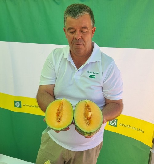 También han presentado un melón piel de sapo de carne naranja