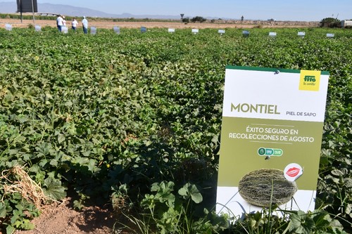 Montiel tiene el distintivo Flavourite por su gran sabor