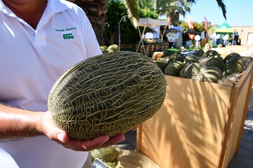 Se han presentado nuevas variedades de piel de sapo con mejoras en resistencias a pulgón