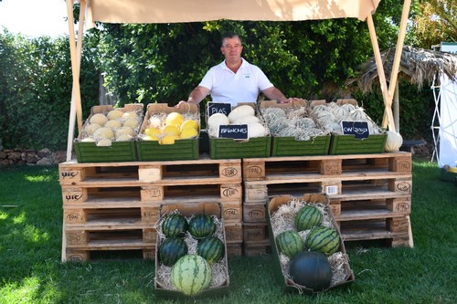 Nicolás Sánchez, Crop Specialist de melón en Murcia, muestra algunas de las variedades de Fitó