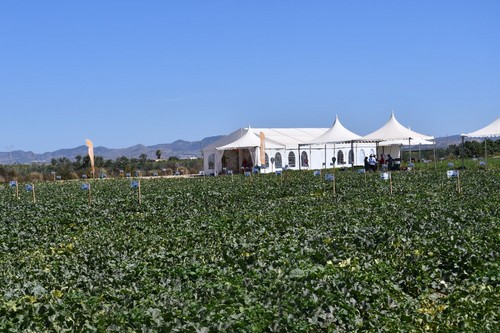 vista general de la finca en la que se realizaron las jornadas