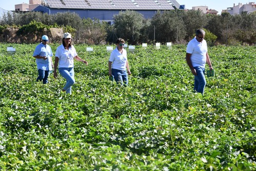 Semillas Fitó reúne a profesionales de todo el mundo en su Water & Melon Show de Murcia