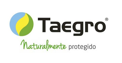 Syngenta lleva al mercado español Taegro® para combatir enfermedades fúngicas en cultivos hortícolas y viña