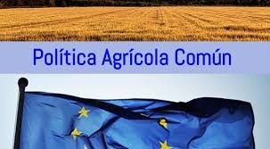 Gobierno regional y sector agrario acuerdan  una postura común ante los desafíos de la negociación de la PAC