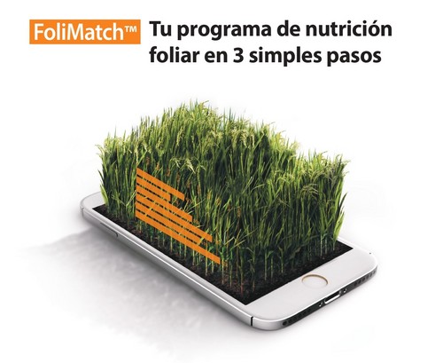 FoliMatch™, el programa de nutrición foliar en tres pasos