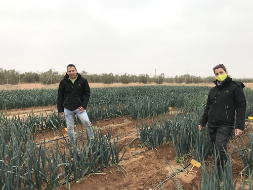 Tozer Ibérica, diez años ensayando en Murcia y ofreciendo variedades cien por cien adaptadas a la Región