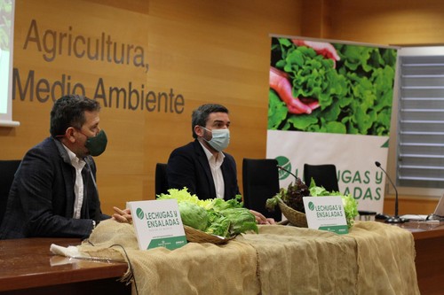 La Comunidad lanza una campaña promocional de las lechugas y ensaladas de la Región para incentivar su consumo