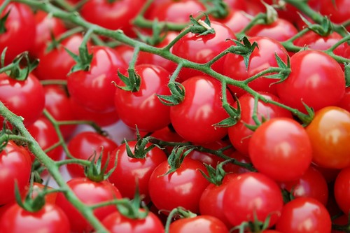 La producción de tomate en España caerá un 20% en la próxima década, según la Comisión