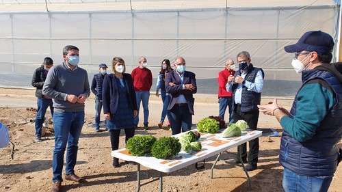 La Comunidad investiga nuevas variedades hortícolas para hacer frente al cambio climático y atender las nuevas demandas de los consumidores