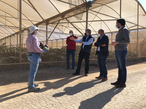 BASF muestra al consejero de Agricultura su compromiso con la sostenibilidad del campo murciano