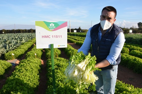 HM.CLAUSE asegura calidad, tamaño, productividad y vigor de planta con sus nuevas propuestas en cultivos de invierno