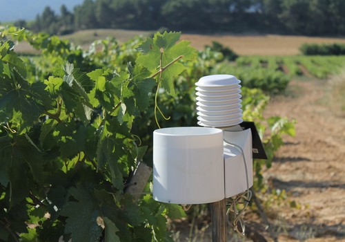 BASF presenta Agrigenio Vite: la gestión sostenible del viñedo desde el Smartphone