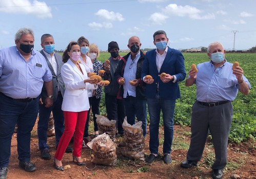 La Comunidad respalda la obtención de una figura de calidad diferenciada para la patata del Campo de Cartagena