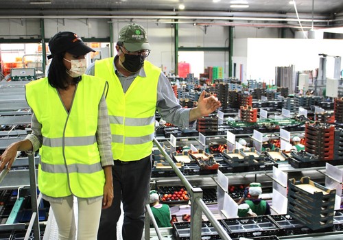 Más de 500 empresas hortofrutícolas de la Región venden al exterior por valor de más de 760 millones en el primer trimestre del año