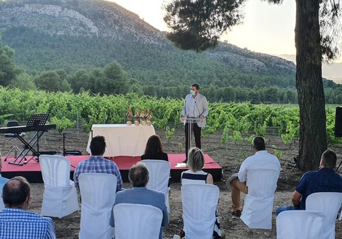La Comunidad apoya al sector vitivinícola a través de la promoción en el exterior y de ayudas a la reestructuración de los viñedos