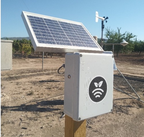  El CIFEA de Jumilla instala sensores de humedad para mejorar la gestión del uso del agua y fertilizantes en sus cultivos experimentales