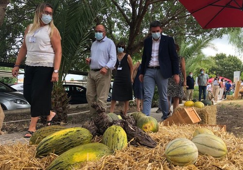 El IMIDA da a conocer más de sesenta variedades tradicionales de melón conservadas en su Banco de Germoplasma
