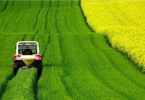 La explotación agraria media en España se acerca a las 50 hectáreas