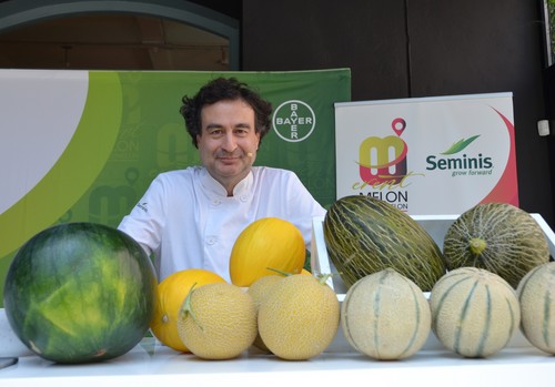 Seminis proporciona variedades más resistentes y hace fuerte al cultivo de melón