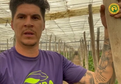 Bernabé agita las redes sociales por los pepinos a 10 céntimos y reclama apoyo para los agricultores de quienes lo criticaban