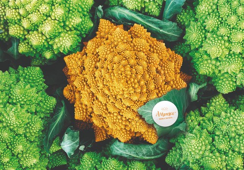 Amoresco®, la primera coliflor romanesco naranja,  nominada al premio Fruit Logistica Innovation Award 2022