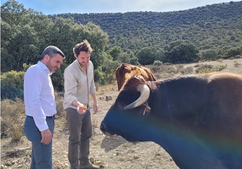 El IMIDA impulsa la recuperación de variedades tradicionales hortícolas y de la raza autóctona de vaca murciana-levantina