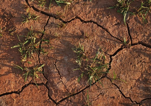 La mesa de la sequía se reunirá el próximo 19 de abril