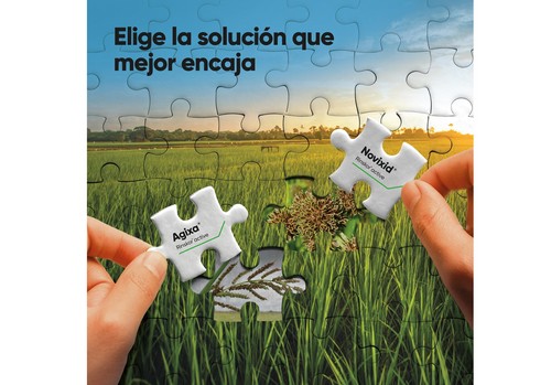 CortevaAgriscience presenta Agixa® y Novixid®, los nuevos herbicidas para el control de malas hierbas en el cultivo de arroz