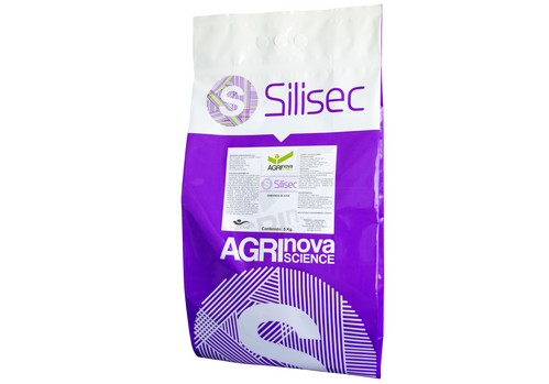 SILISEC – Nutrición y protección en el cultivo de pimiento