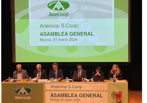  Anecoop aumenta su cifra de negocio un 2,7% frente a un descenso en el volumen comercializado