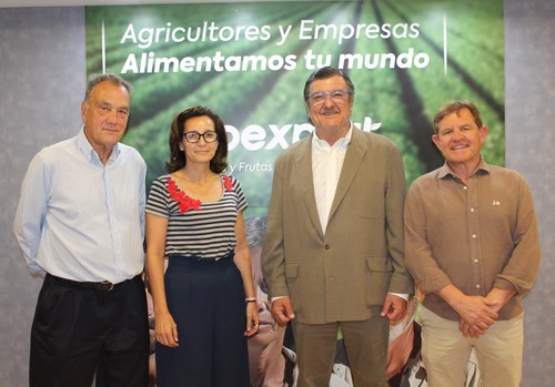 El empresario Cecilio Peregrín elegido presidente de la sectorial de lechuga de la Federación Nacional FEPEX