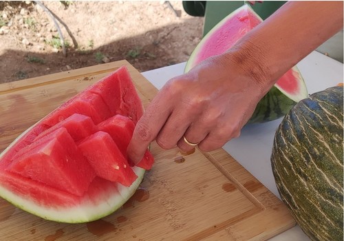 El ministerio y el sector frutícola analizan el inicio de la campaña de fruta de verano