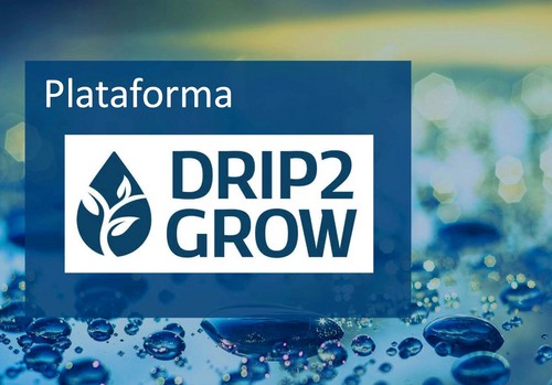 La plataforma DRIP2GROW permite ahorros de agua de hasta el 30% en cultivos hortícolas