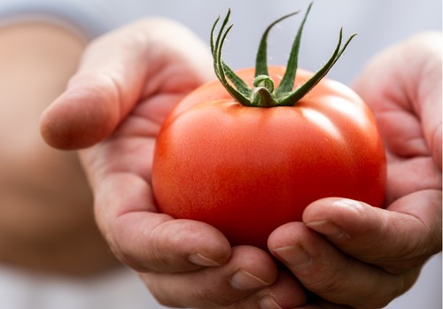 BASF | Nunhems extiende la resistencia a todas las tipologías de tomate