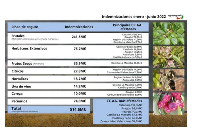 El primer semestre de 2022 termina con la mayor siniestralidad registrada por el seguro agrario: 515 millones de euros
