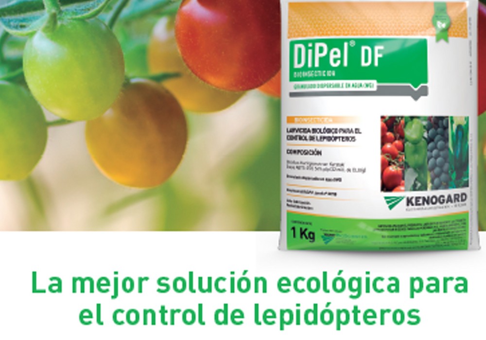DiPel DF® y XenTari® GD: la mejor  Biosolución contra lepidópteros