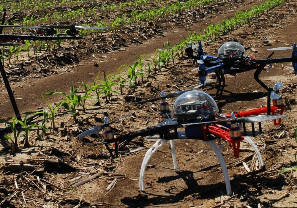 La Comunidad participa en un proyecto nacional que impulsa el uso de drones como herramienta para las aplicaciones fitosanitarias