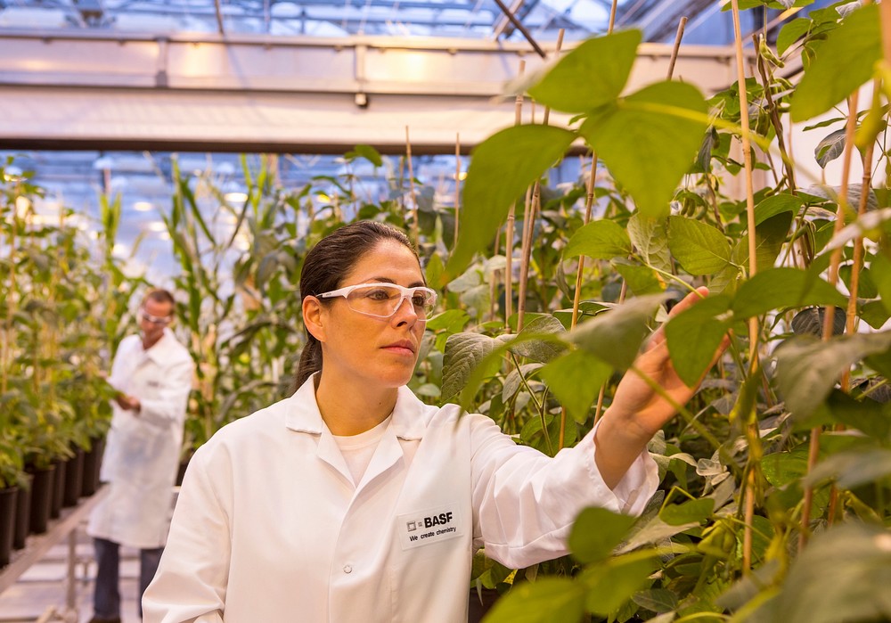 BASF presenta su cartera de innovaciones con soluciones que permiten acelerar la transformación de la agricultura