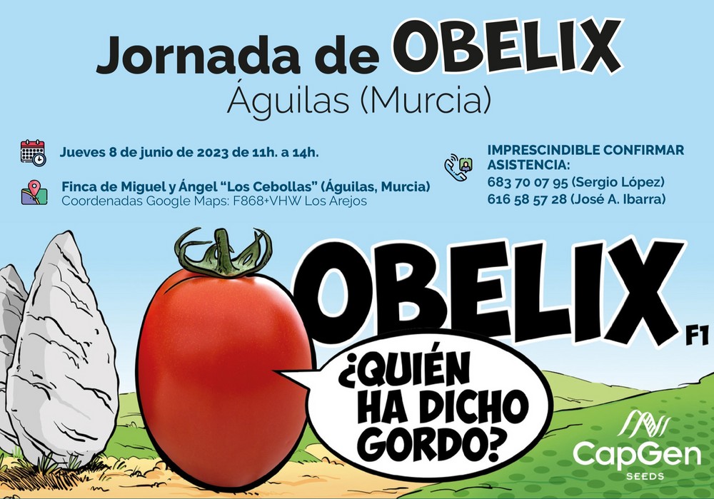 El próximo 8 de junio jueves, CapGen Seeds te invita a sus jornadas de puertas abiertas del tomate pera Obelix de gran calibre en Águilas
