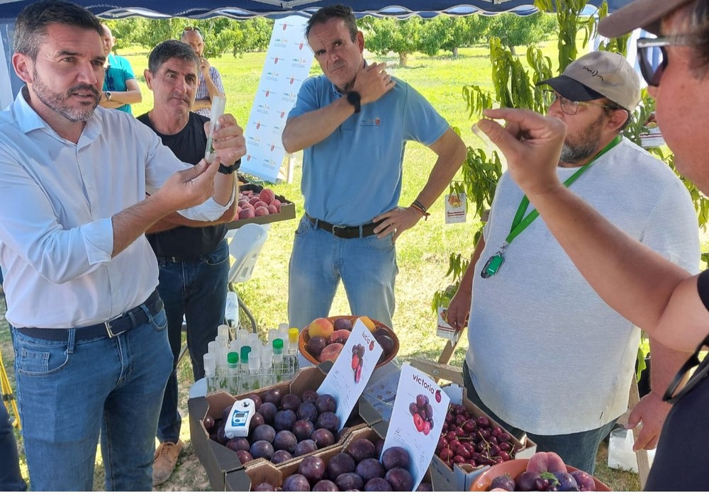 El IMIDA presenta nuevas variedades de fruta de hueso que optimizan la producción y están mejor adaptadas al cambio climático
