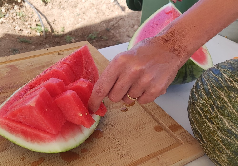 Los productores españoles de melón y sandía celebran la recuperación de la normalidad en el campo y la reactivación del consumo en agosto