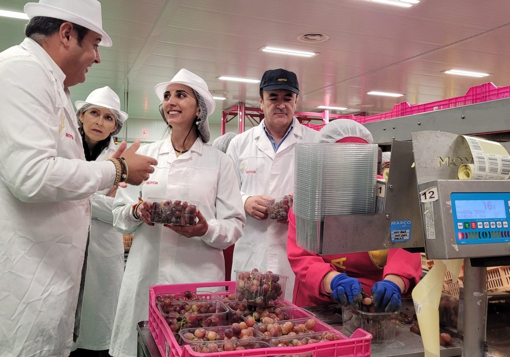 La apuesta de la Comunidad por el impulso de nuevas variedades de uva de mesa consolidan a la Región al frente de la producción y exportación nacional