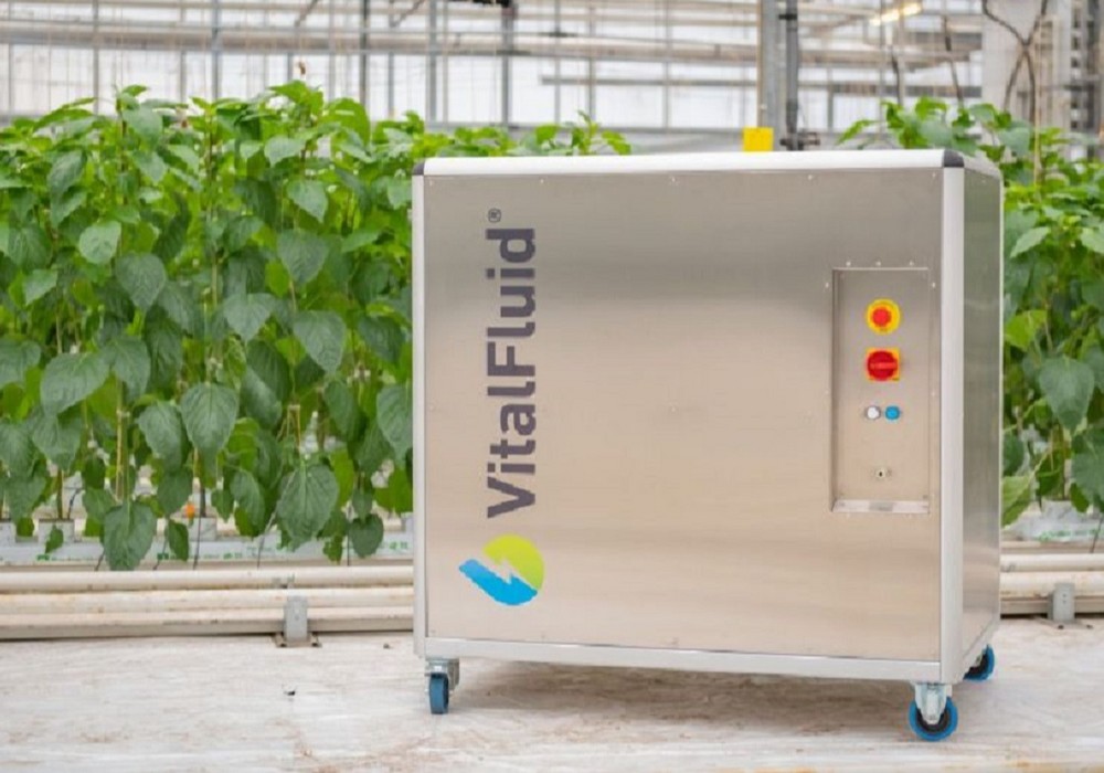 VitalFluid: la solución basada en la naturaleza que mejora la produción de cultivos bio