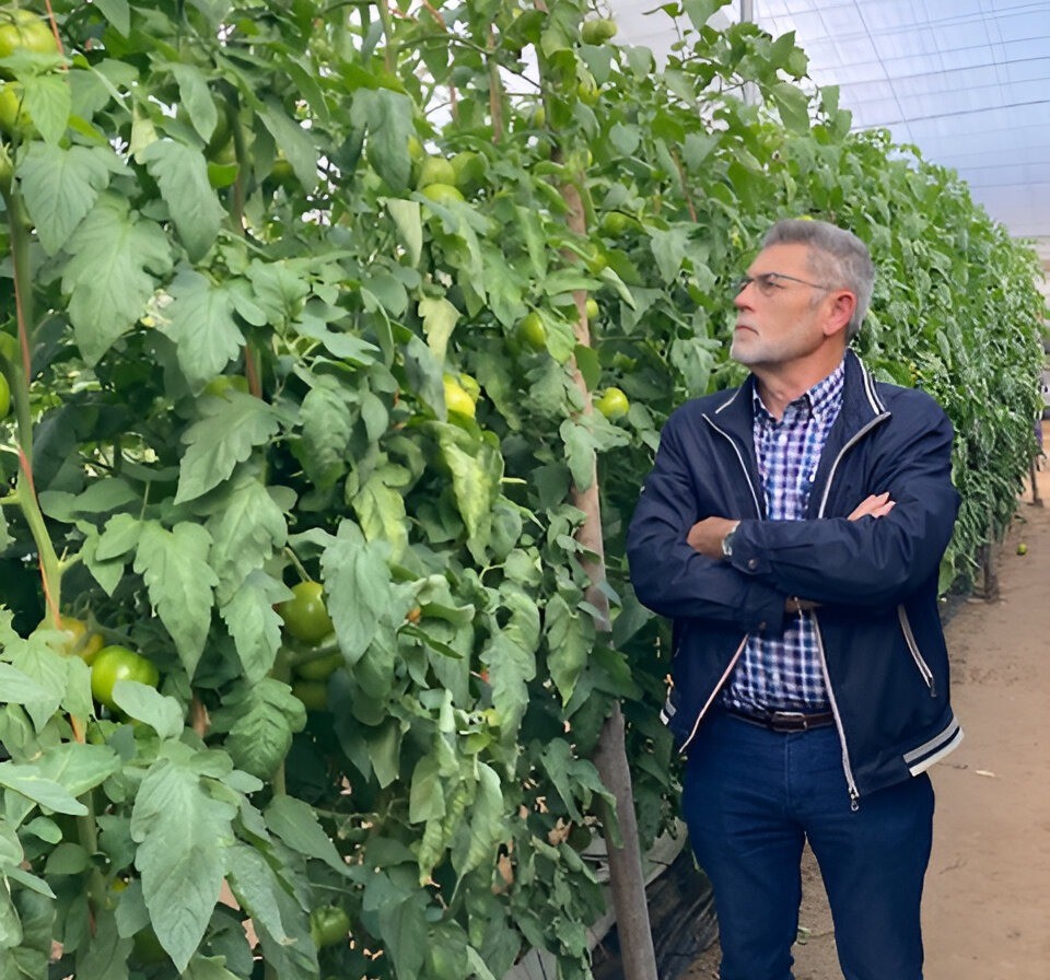 Avances revolucionarios en la agricultura:  EM Agro y Stretta™ transforman el cultivo del tomate