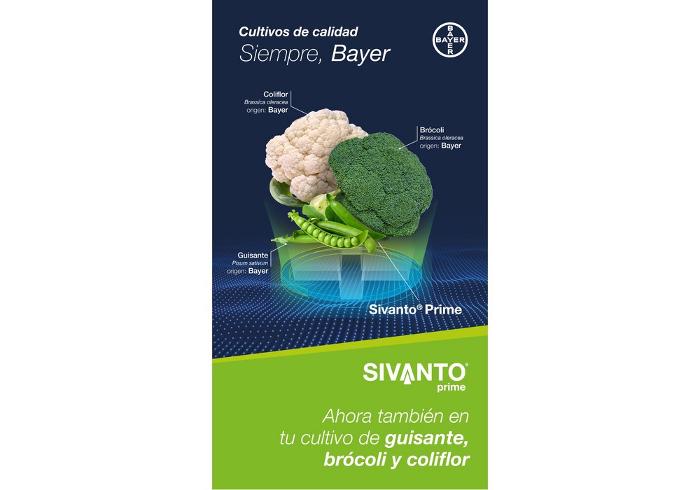Bayer obtiene la confirmación de registro de Sivanto® Prime para los cultivos de brócoli y coliflor
