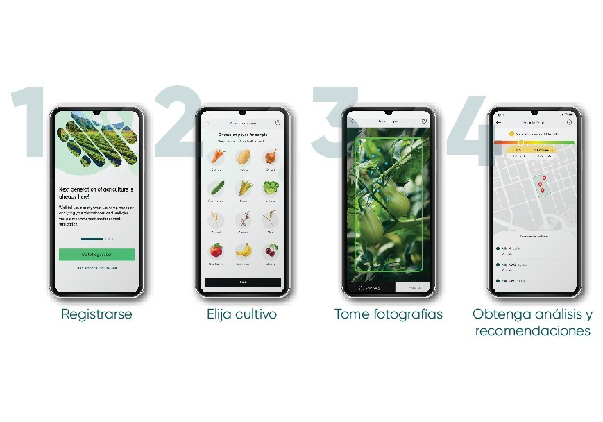 Croptune, la App de Haifa y AgrIOT para controlar las carencias de nutrientes en campo