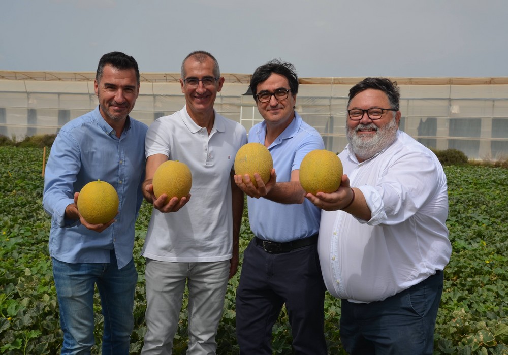 Arranca la campaña de Galkia®: un año más, vuelve el sabor del auténtico melón galia