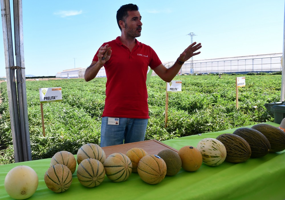 BASF|Nunhems® revoluciona el mercado de melón y sandía con su portfolio más 'camaleónico'